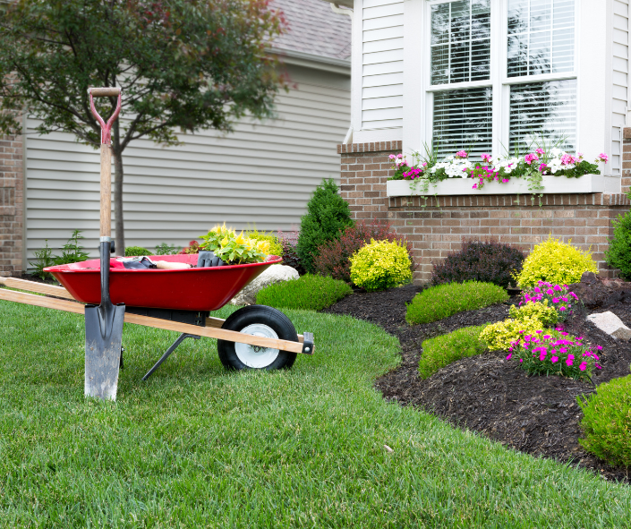 A beautifully landscaped front garden with a shovel and wheelbarrow.